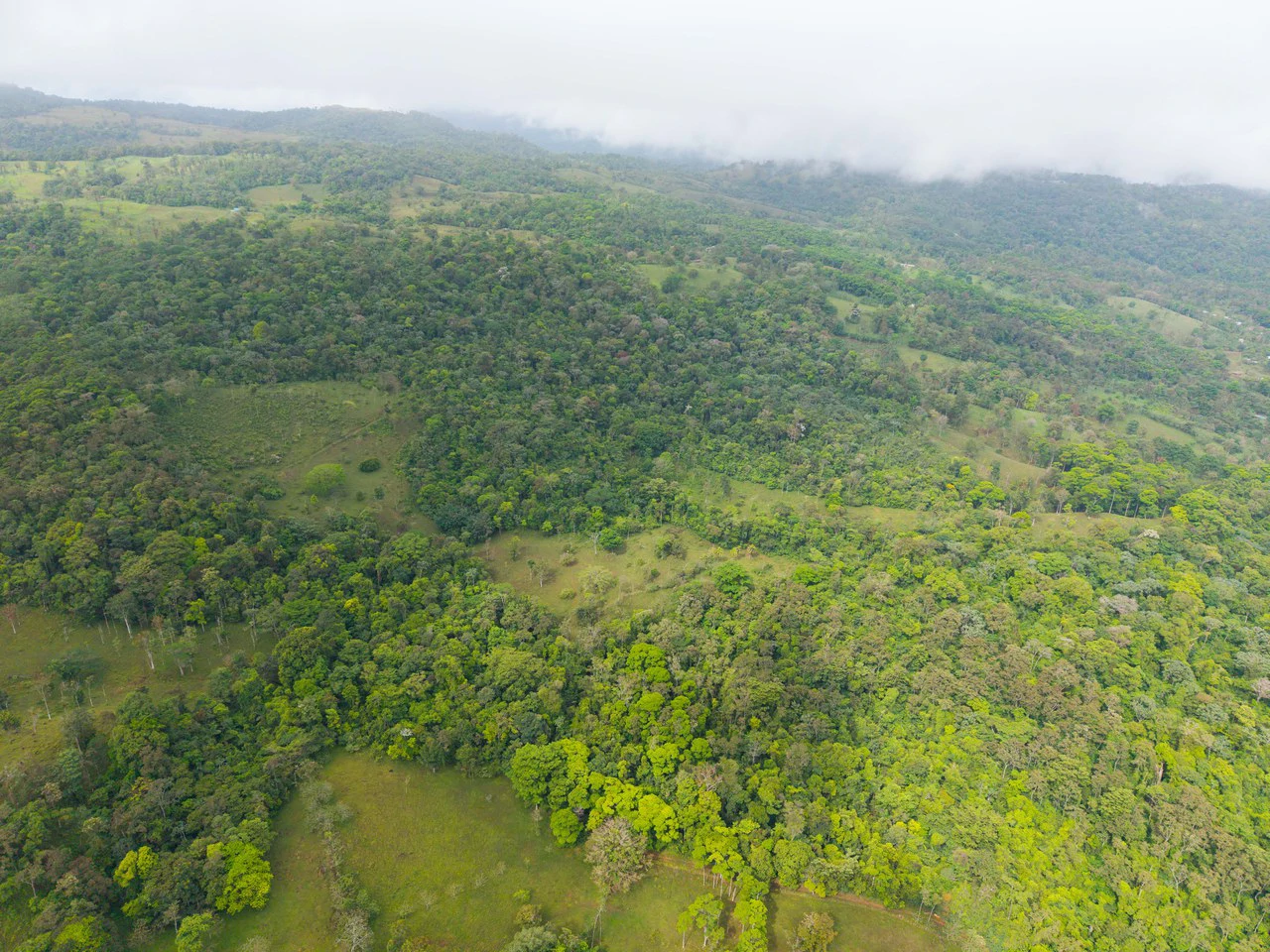 Finca Las Zompopas-Río Celeste: 113-Acre Biodiverse Property in Bijagua, Ideal for Eco-Tourism, Private Retreats, or Sustainable Development - Gallery image 36