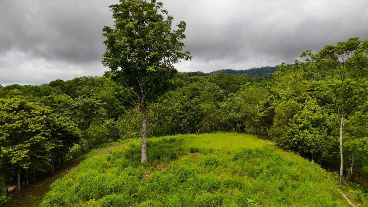 GULF VIEW PROPERTY IN PUERTO JIMENEZ, COSTA RICA - Gallery image 14