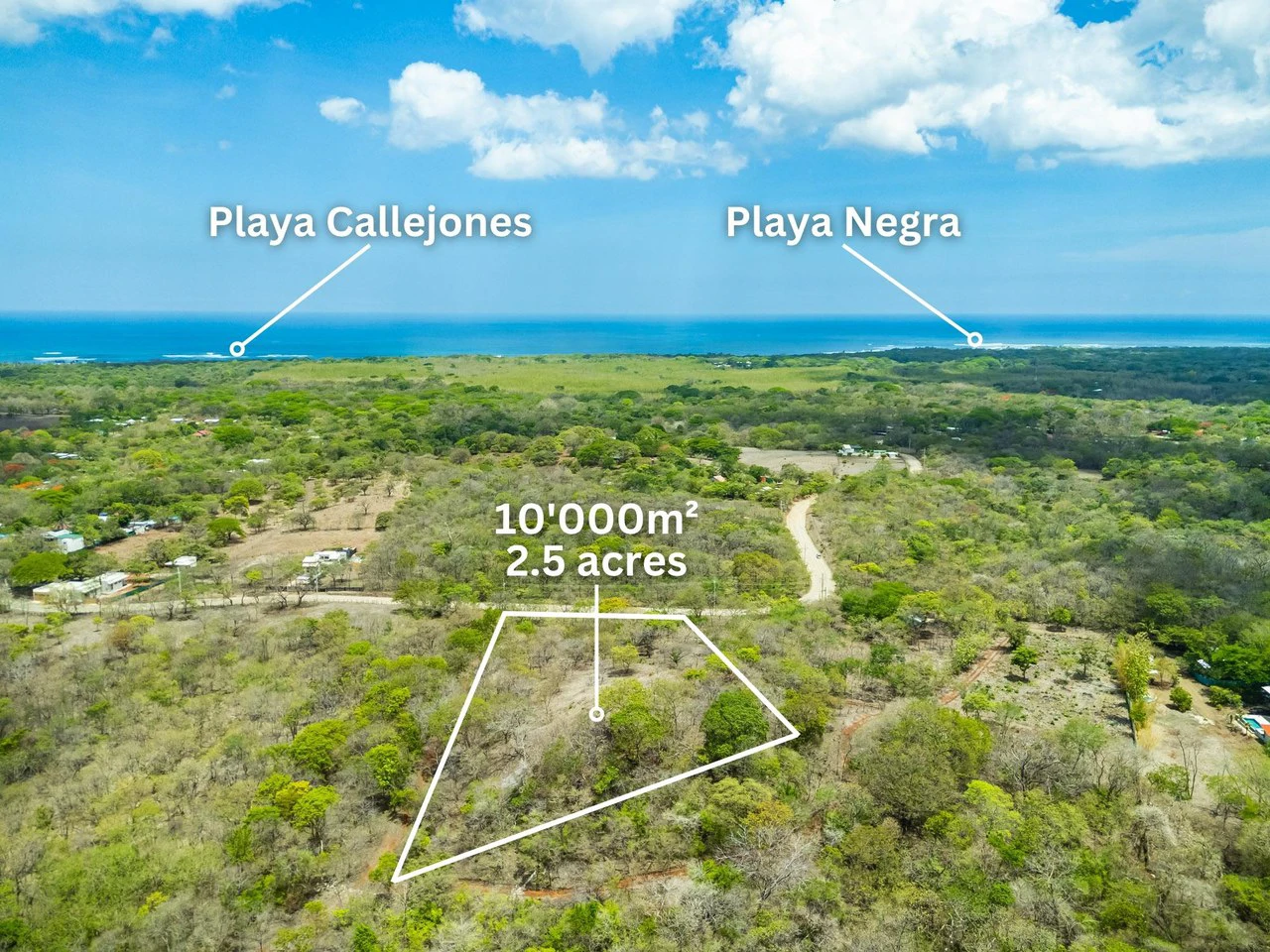 Pura Jungla Lots: Expansive Lots with Water Availability in Los Pargos - Gallery image 14
