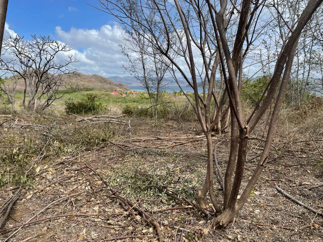 Countryside and Near the Coast Home Construction Site For Sale in El Jobo