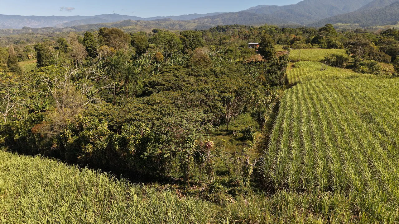 Countryside Home Construction Site For Sale in Santa Elena - Gallery image 3
