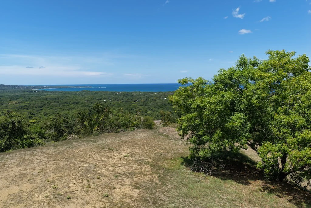 Lot #71: 2,250m2 San Pedro. Las Ventanas Community - photo 8