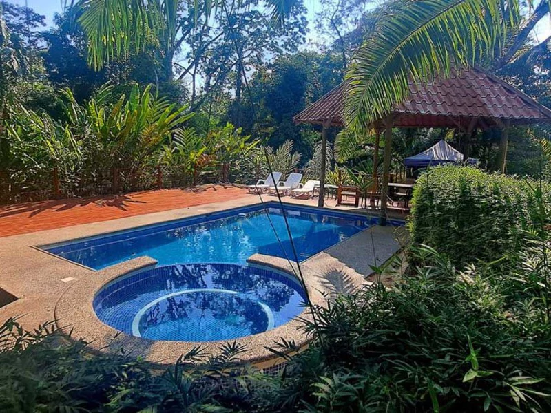 8 Cabinas with Swimming Pool on Lush Jungle Property in Uvita