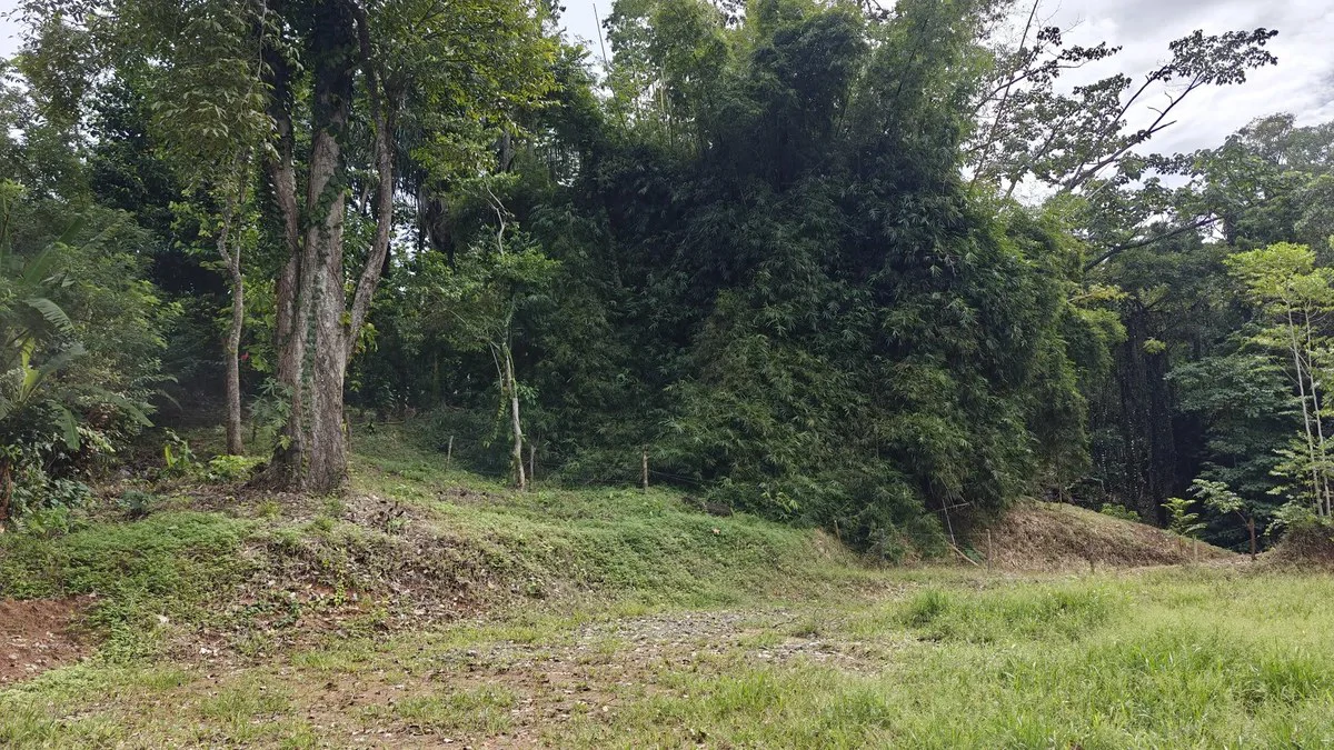 ID 345: 6,763m² Ocean View Development Land for Sale in Puerto Viejo - Gallery image 10