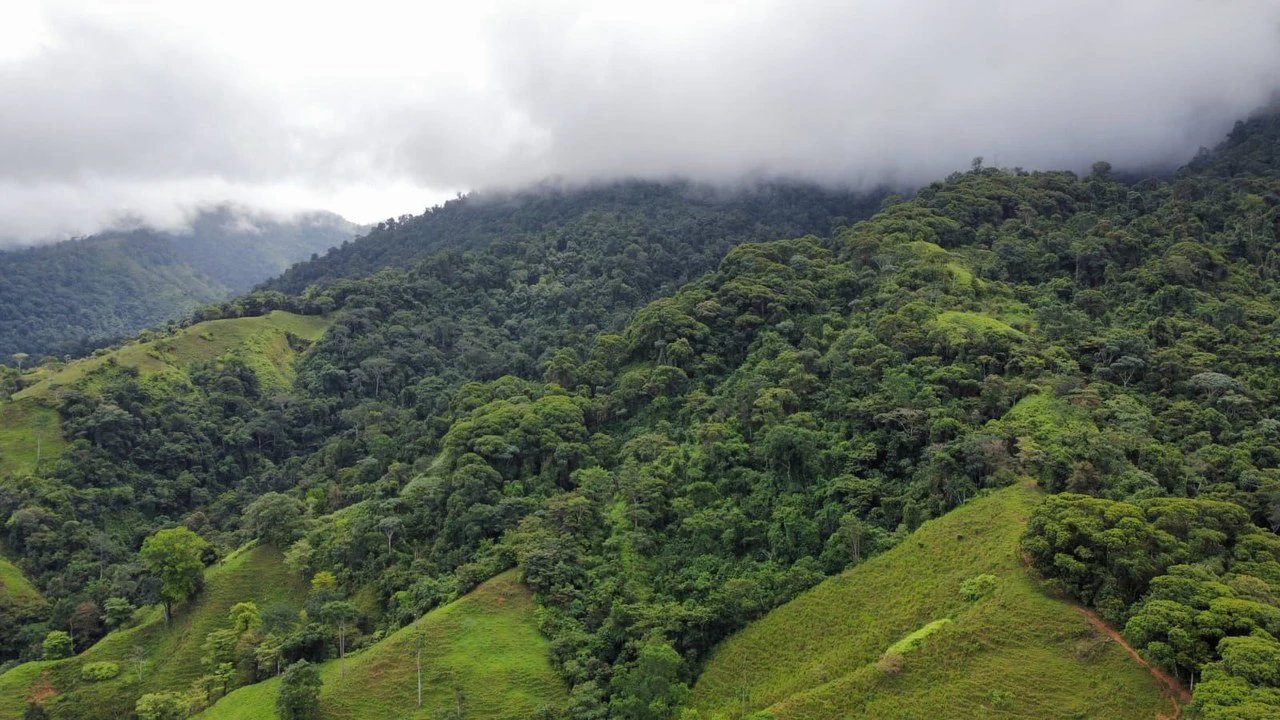 Se vende 39ha en Barú, Perez Zeledón: Mountain Home Construction Site For Sale in Barú - Gallery image 19