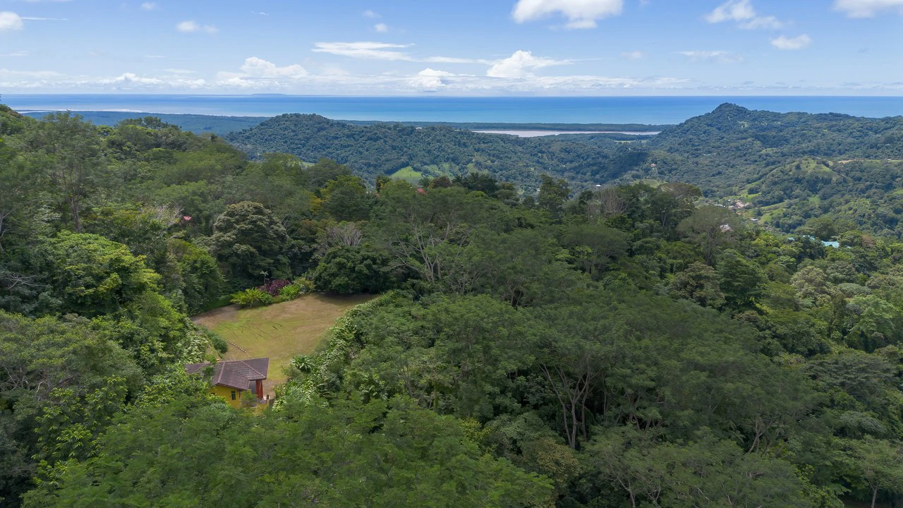 Build-Ready Ocean View Land with Guest House & Fruit Orchard | Tres Rios, Costa Rica - Gallery image 5