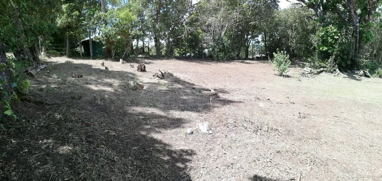 Monteverde Acosta: Countryside and Mountain Home Construction Site For Sale in Santa Elena - Gallery image 4