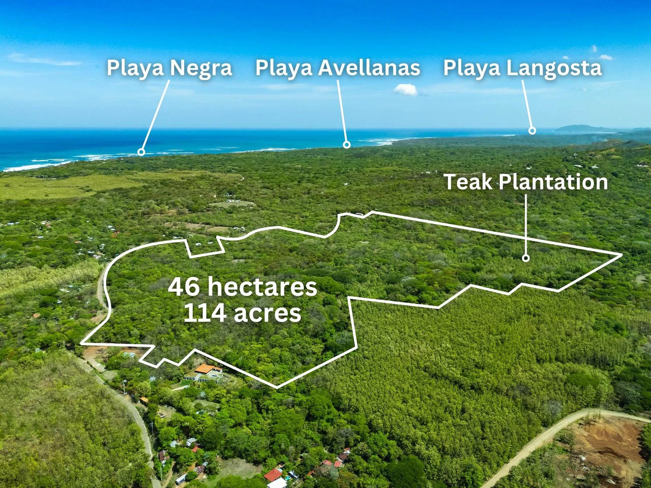 Finca 46Ha: Private Sanctuary with River and Forest - Gallery image 9