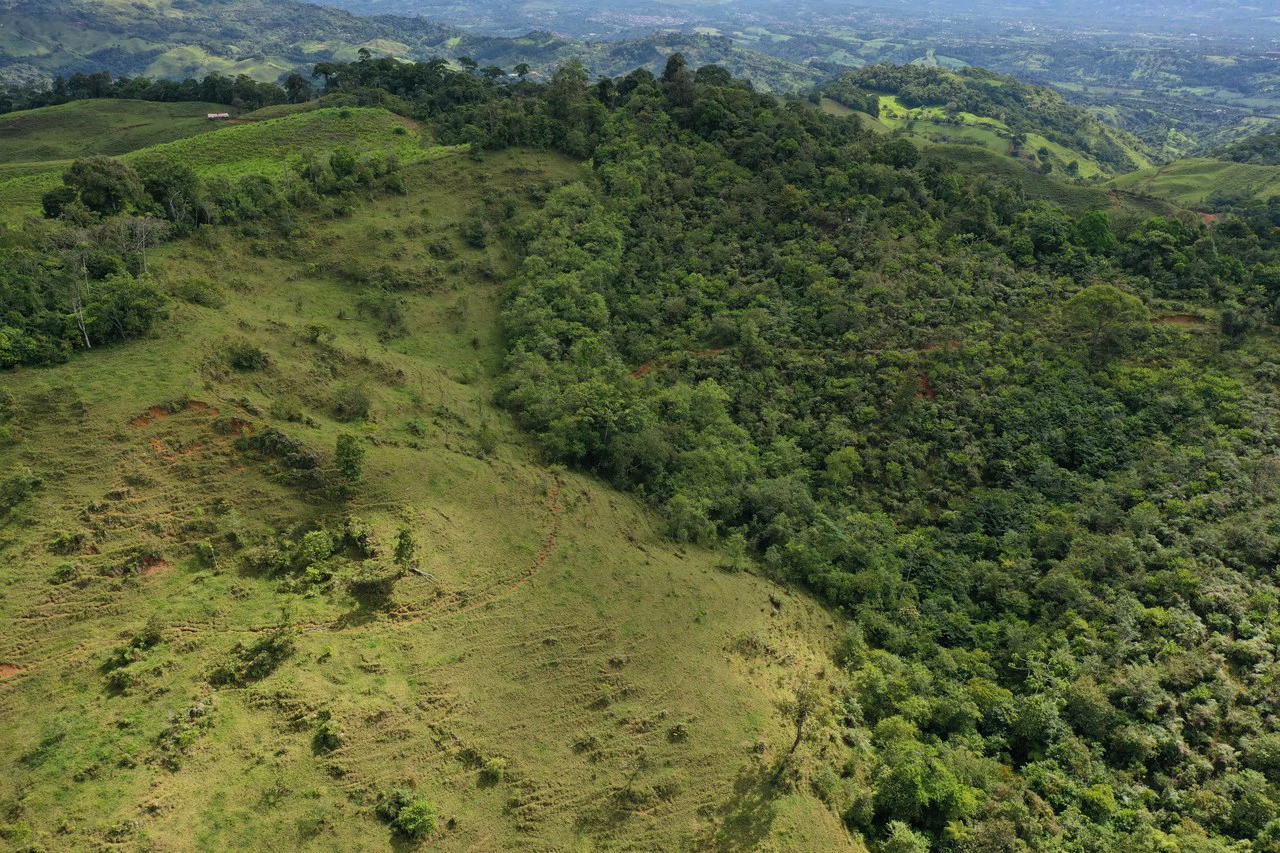 47 Acre Off Grid Ranch with Ocean & Mountain Views San Lorenzo Perez Zeledón - Gallery image 12