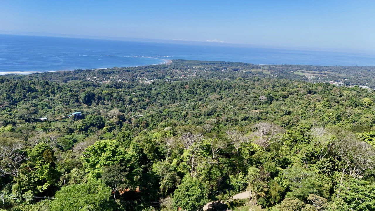 Unique Opportunity, Panoramic Ocean Views of the Whale's Tail Beach! - Gallery image 2