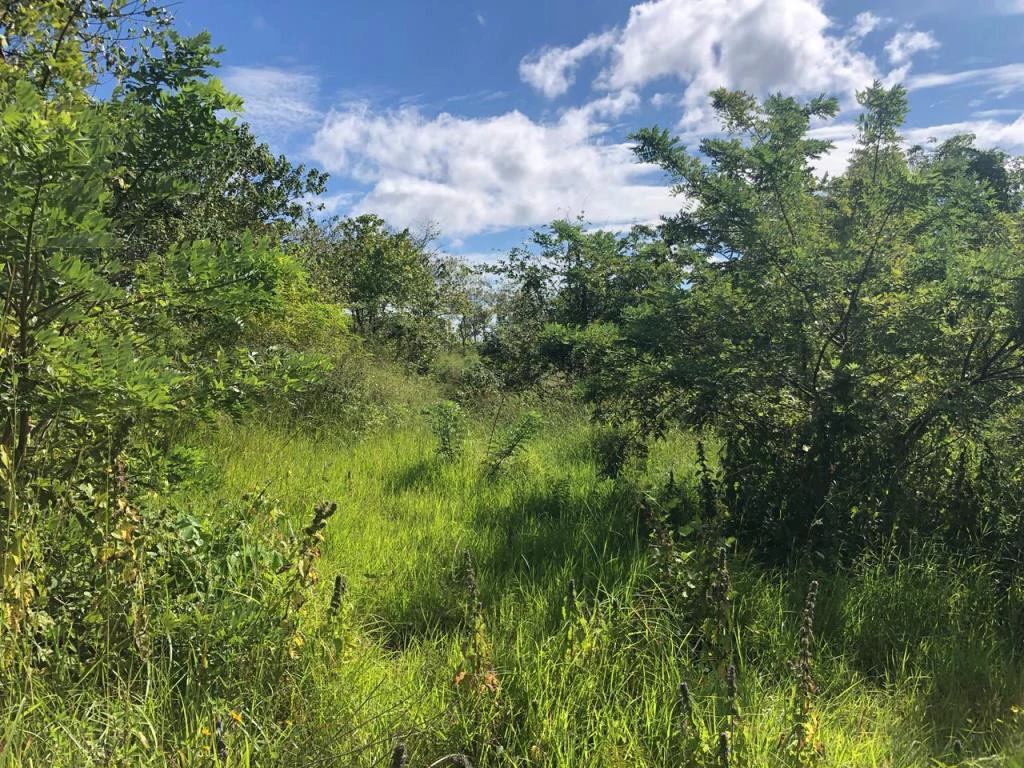 Ocean View Property with Panoramic Views on the Pacific Gold Coast – Guanacaste - Gallery image 15