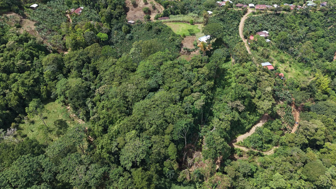 Mountain Home Construction Site For Sale in San Isidro del General - photo 3
