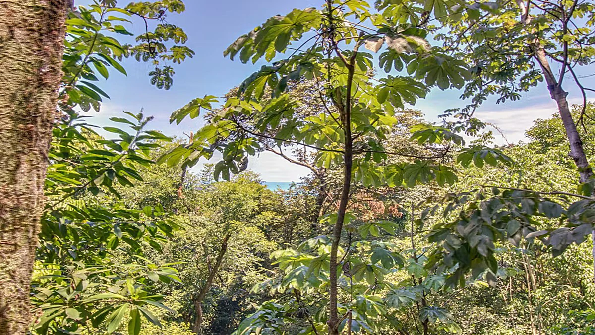 Manuel Antonio Villa: Manuel Antonio Villa with Subdividable Lot or Expansion - Gallery image 18
