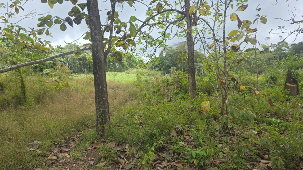 Expansive Year-Round Green Agricultural Property with Rolling Hills and a River – One Hour from Liberia - Gallery image 11