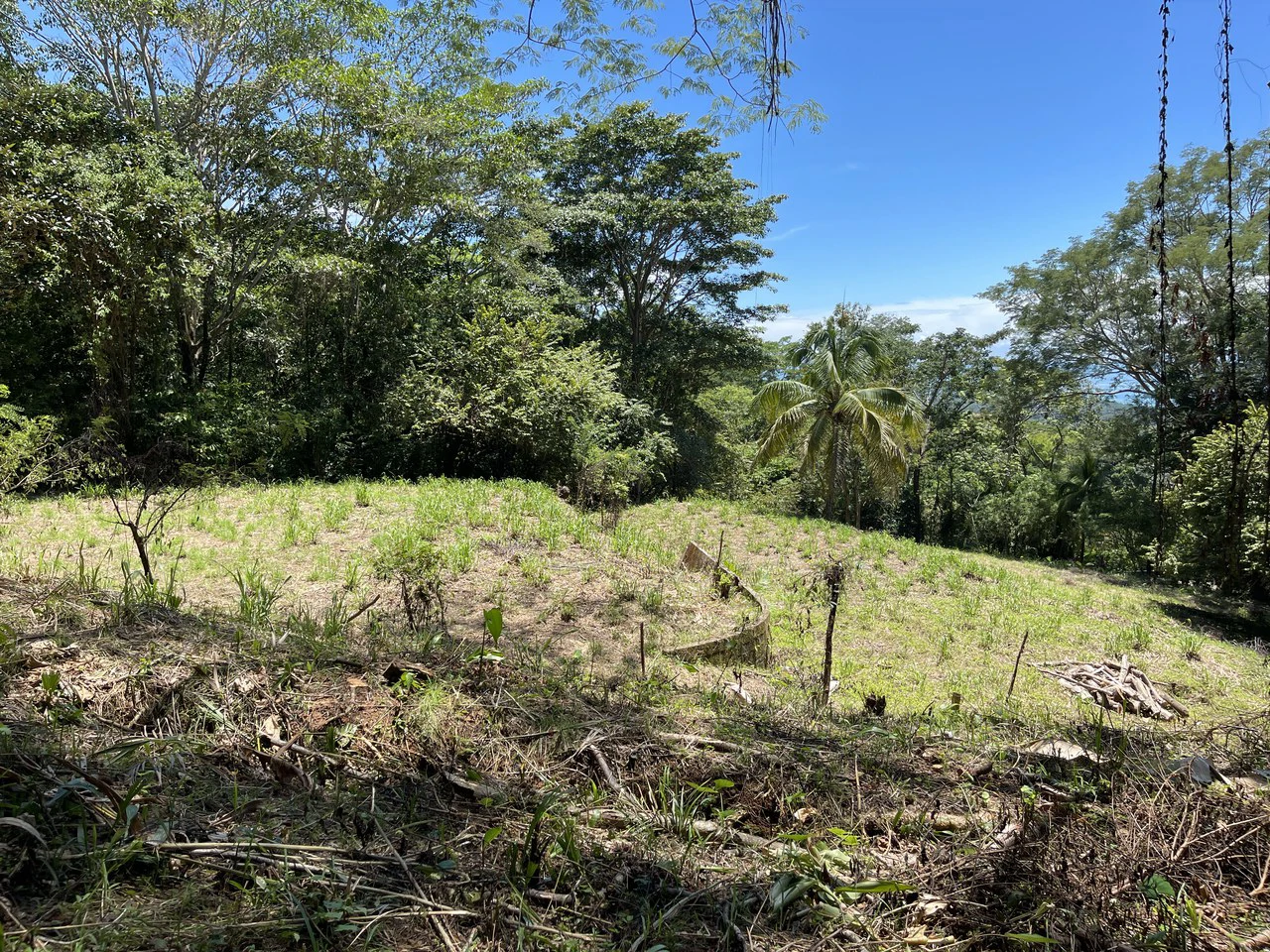 5.4 ACRES – Amazing Ocean View Acreage With Multiple Building Sites And Legal Water!!! - Gallery image 12