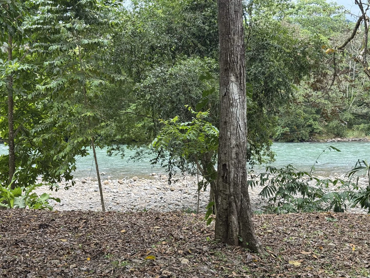 Riverfront Oasis on the Barú River Playa Dominical - Gallery image 14