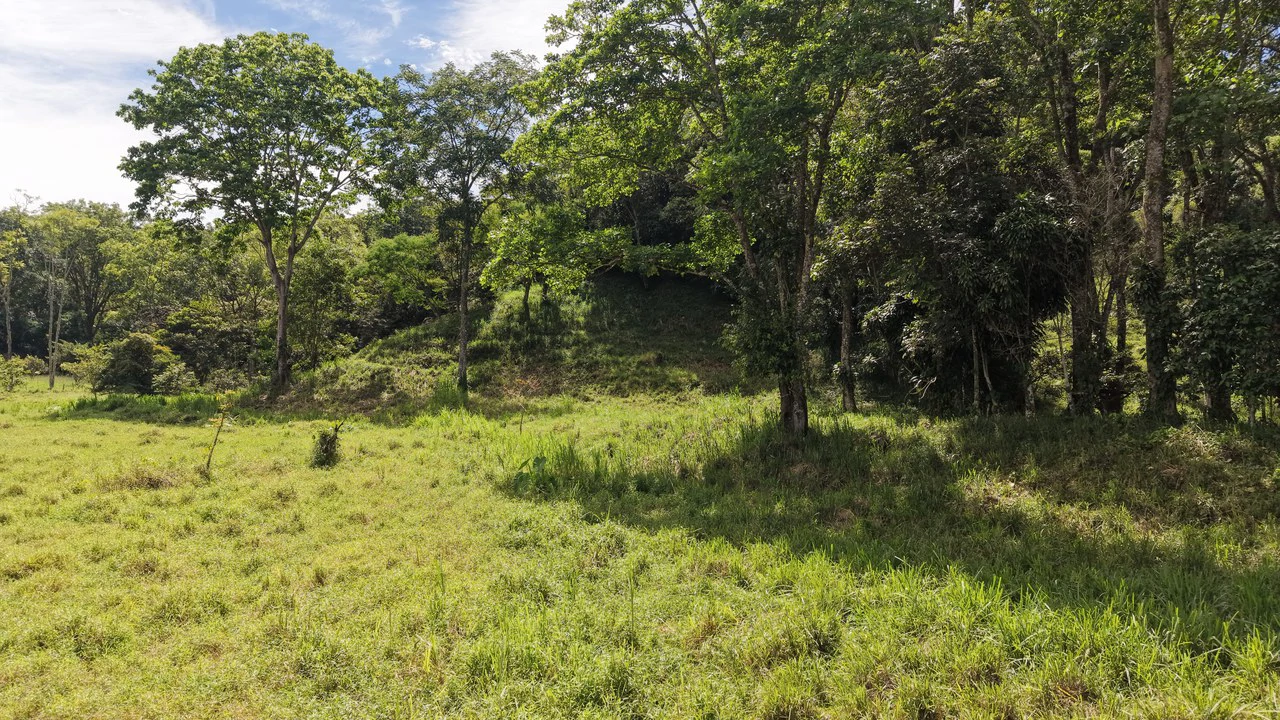 Mountain Home Construction Site For Sale in San Isidro del General - photo 3