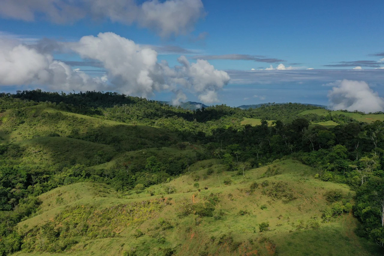 47 Acre Off Grid Ranch with Ocean & Mountain Views San Lorenzo Perez Zeledón - Gallery image 9