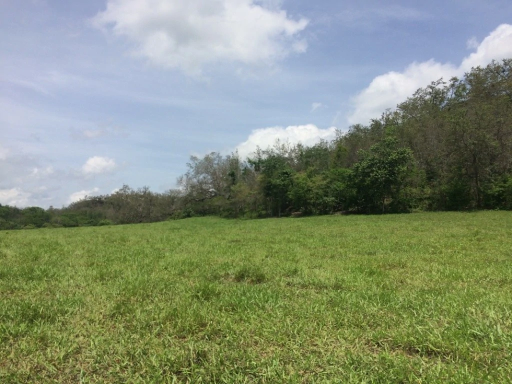 Propiedad de 79 hectáreas: Property of 79 hectares, located in Canas Dulces Liberia. - Gallery image 7
