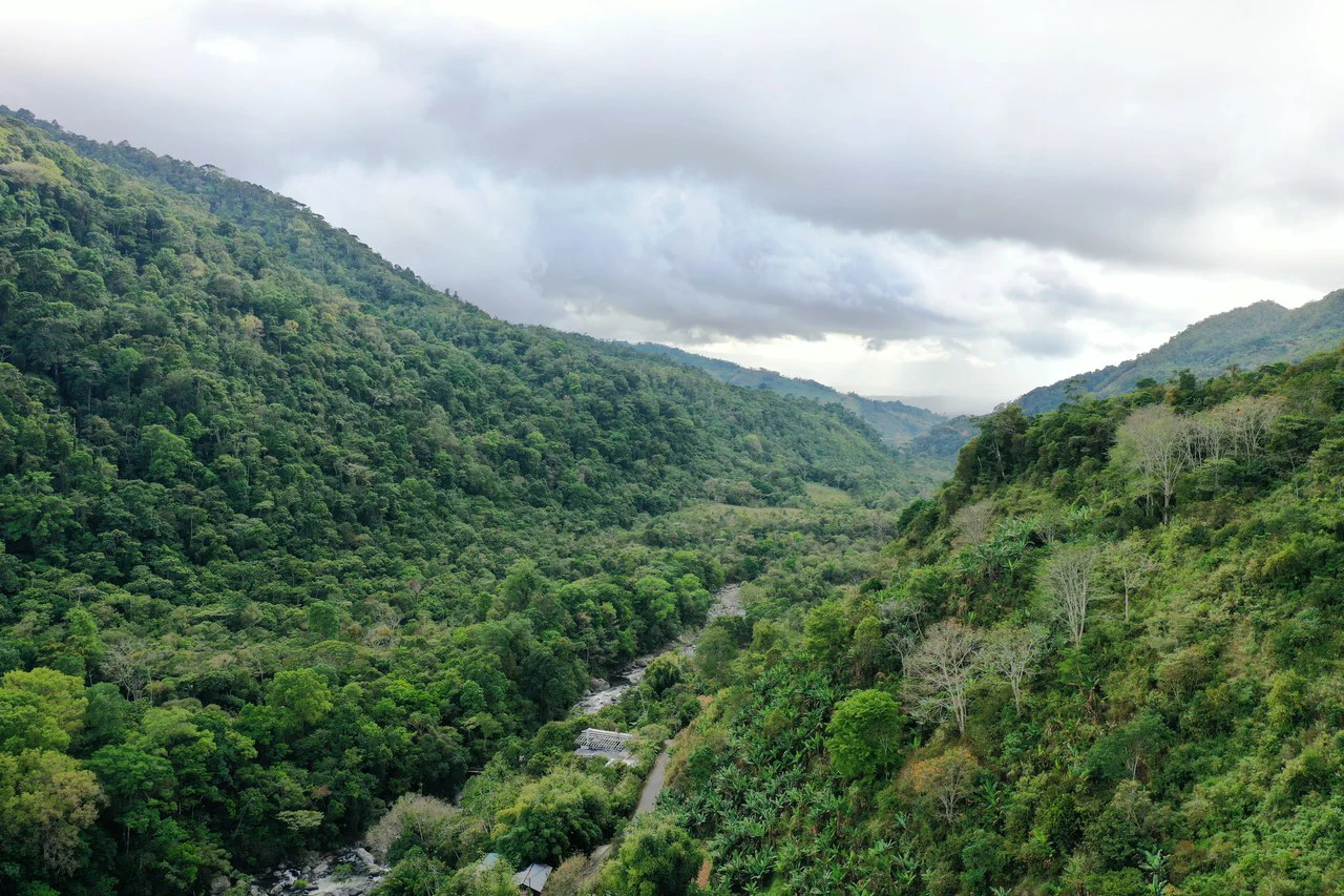 Canaan de Rivas 10 acres Above San Isidro - Gallery image 16