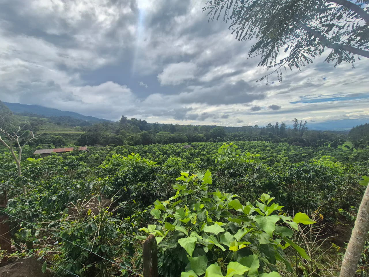 Countryside Agricultural Land For Sale in Santa Elena de San Isidro - Gallery image 18