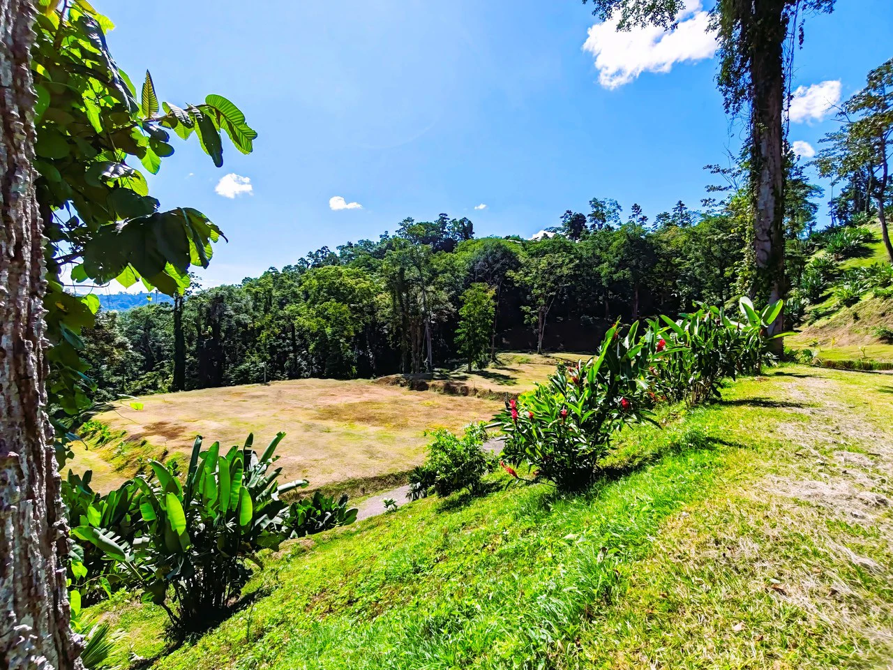 ID 4193: Ocean View Residential Lot for Sale near Puerto Viejo, Caribbean Costa Rica - Gallery image 14