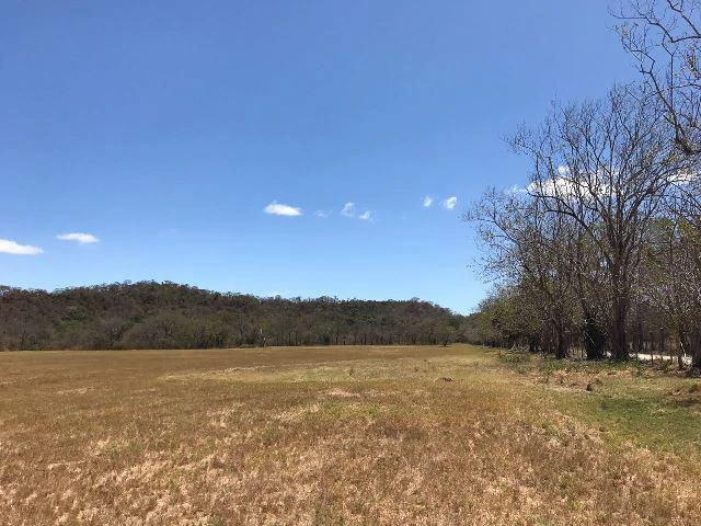 Huge terrain for sale in Guardia close to the International Airport of Liberia