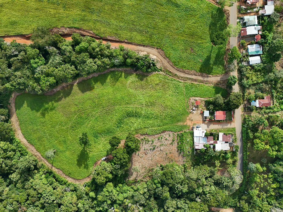 Agricultural Land For Sale in Entre Cocorí y Pavones