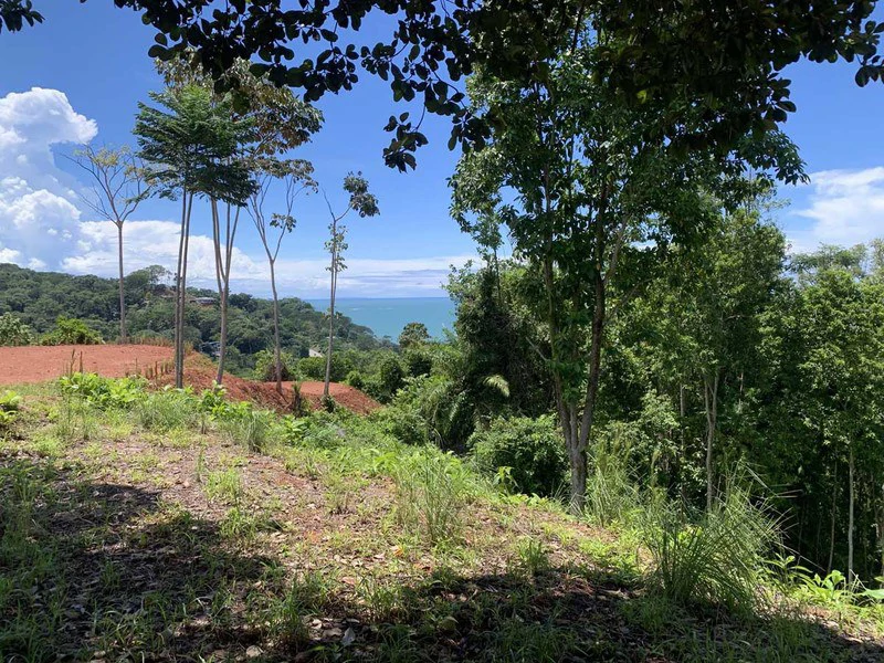 Stunning Ocean View Property in Uvita - Gallery image 3