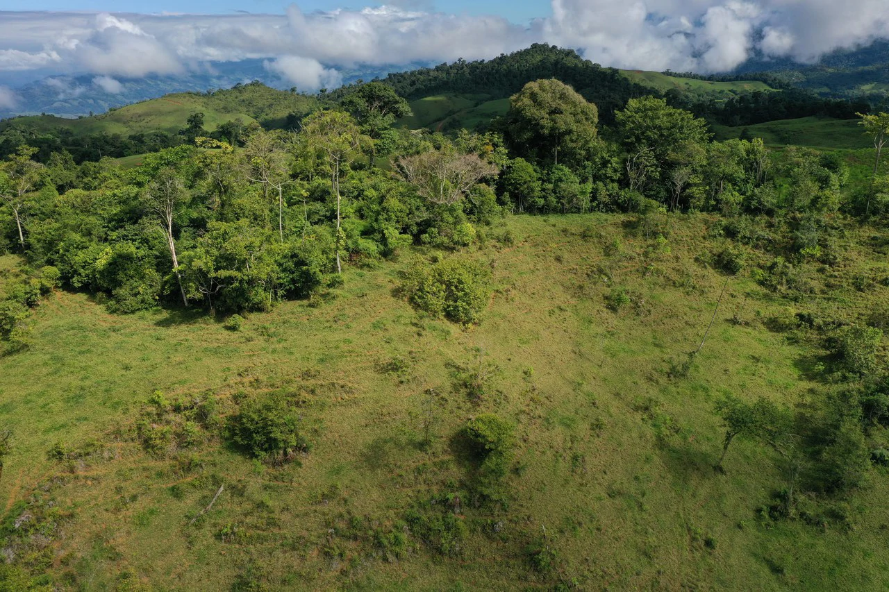 47 Acre Off Grid Ranch with Ocean & Mountain Views San Lorenzo Perez Zeledón - Gallery image 17