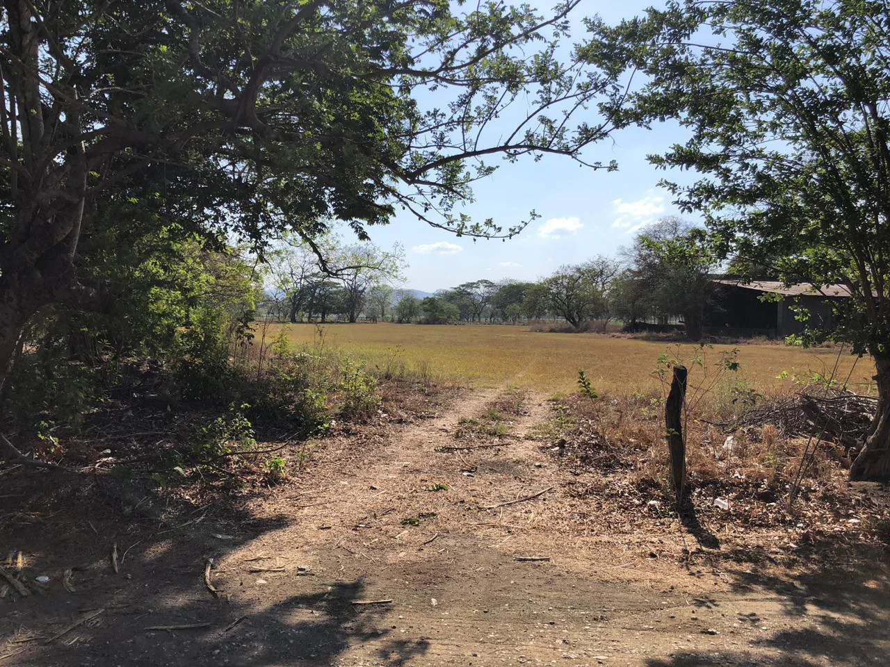 Large property with warehouses in Filadelfia, Carrillo - Gallery image 3