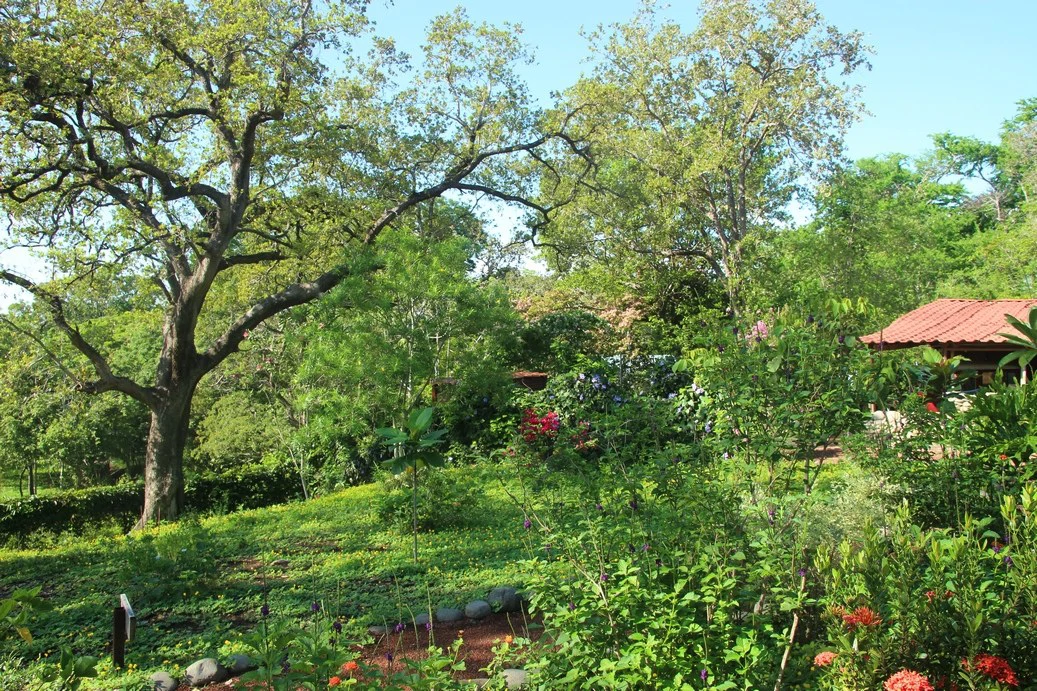Small Mountain Hotel with camp ground: Charming B&B for Sale in the Mountains of Curubandé, Guanacaste – Nature, Tranquility, and Profitability in One Place. - Gallery image 8