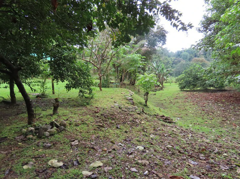 Land For Sale in Dos Brazos, Puerto Jimenez, Ideal For Home Surrounded by Nature - Gallery image 14