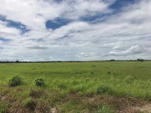 NYA project Price $ 17 m². 21 hectares - Gallery image 7