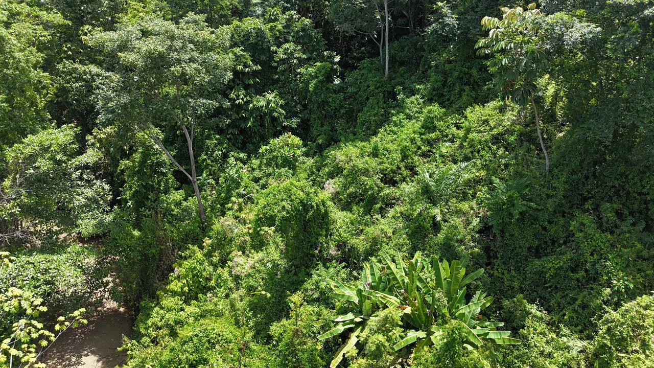 Exquisite Jungle property with Ocean View | Gated Community in Ojochal 3 - Gallery image 11
