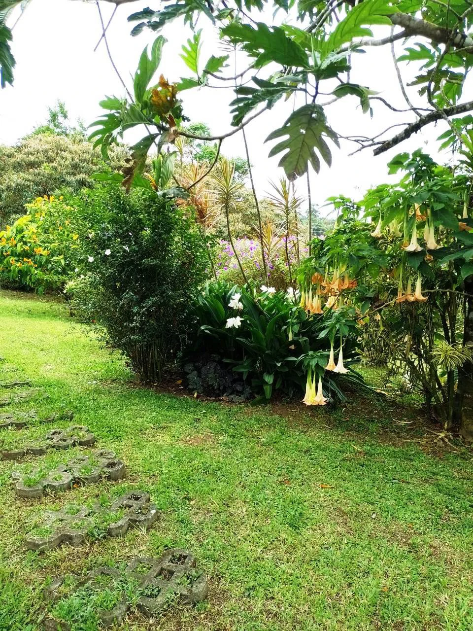 CHALET DEL LAGO - Beautiful A-Frame home in tropical garden - Gallery image 31