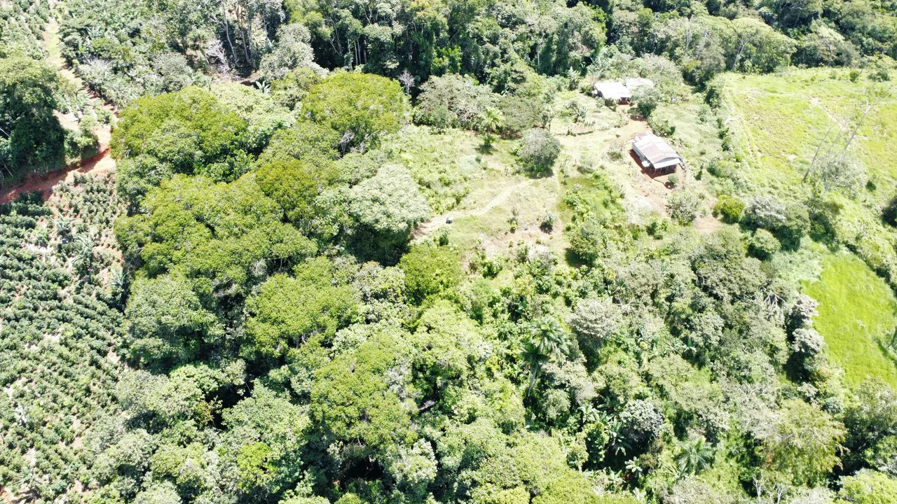 Propiedad en San Rafael de Platanares, Costa Rica: Mountain Home Construction Site For Sale in San Rafael - Gallery image 11