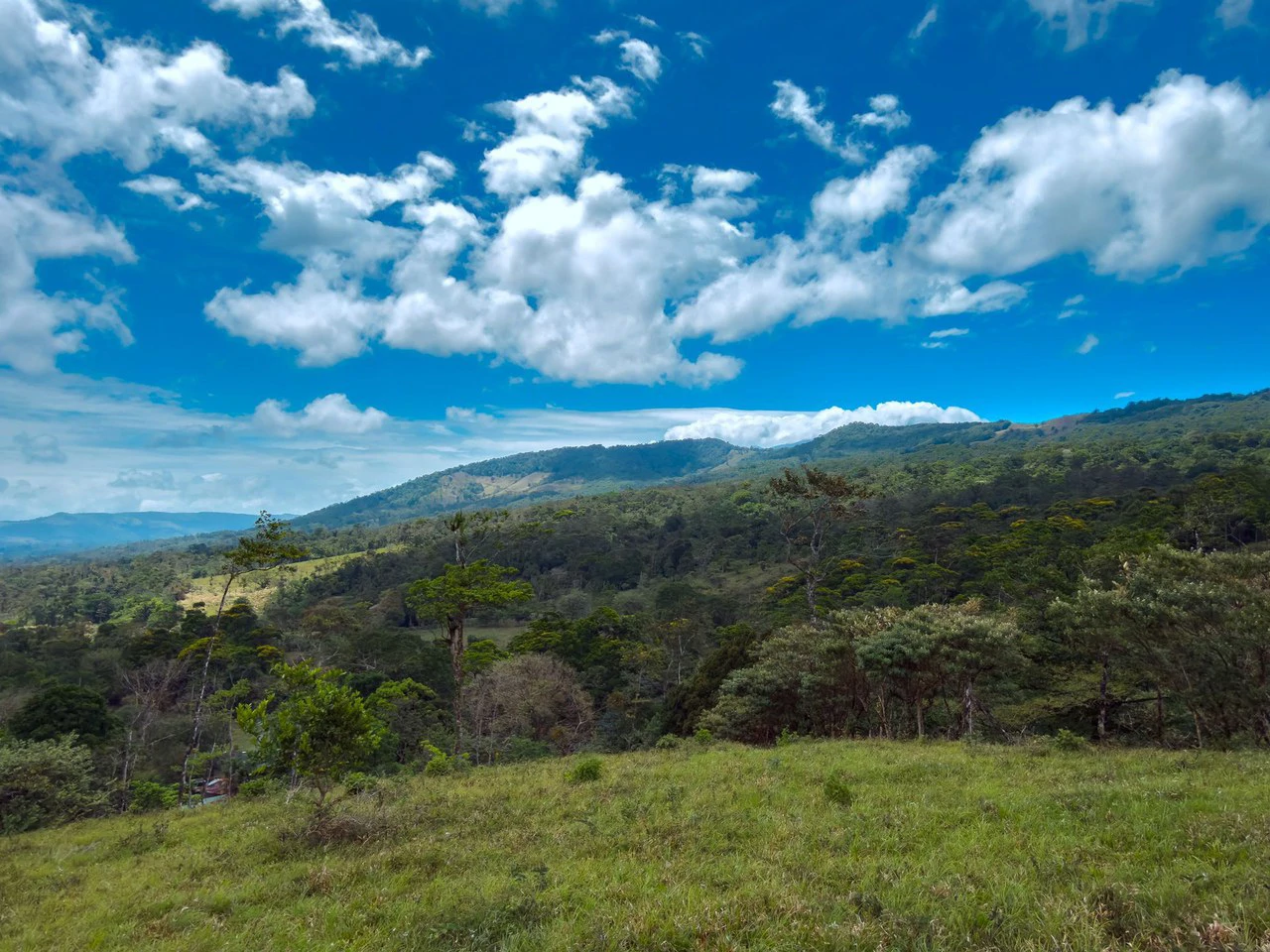 Finca Abuelo: Riverfront, Mountain and Countryside Agricultural Land For Sale in Aguas Claras - photo 6