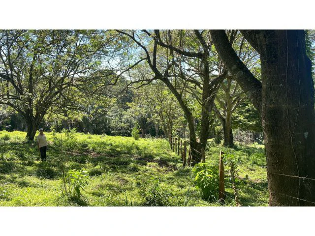 Nature Paradise Farm for sale in the mountains of Quebrada Grande, Building potential property 30 minutes away from Liberia - Gallery image 31