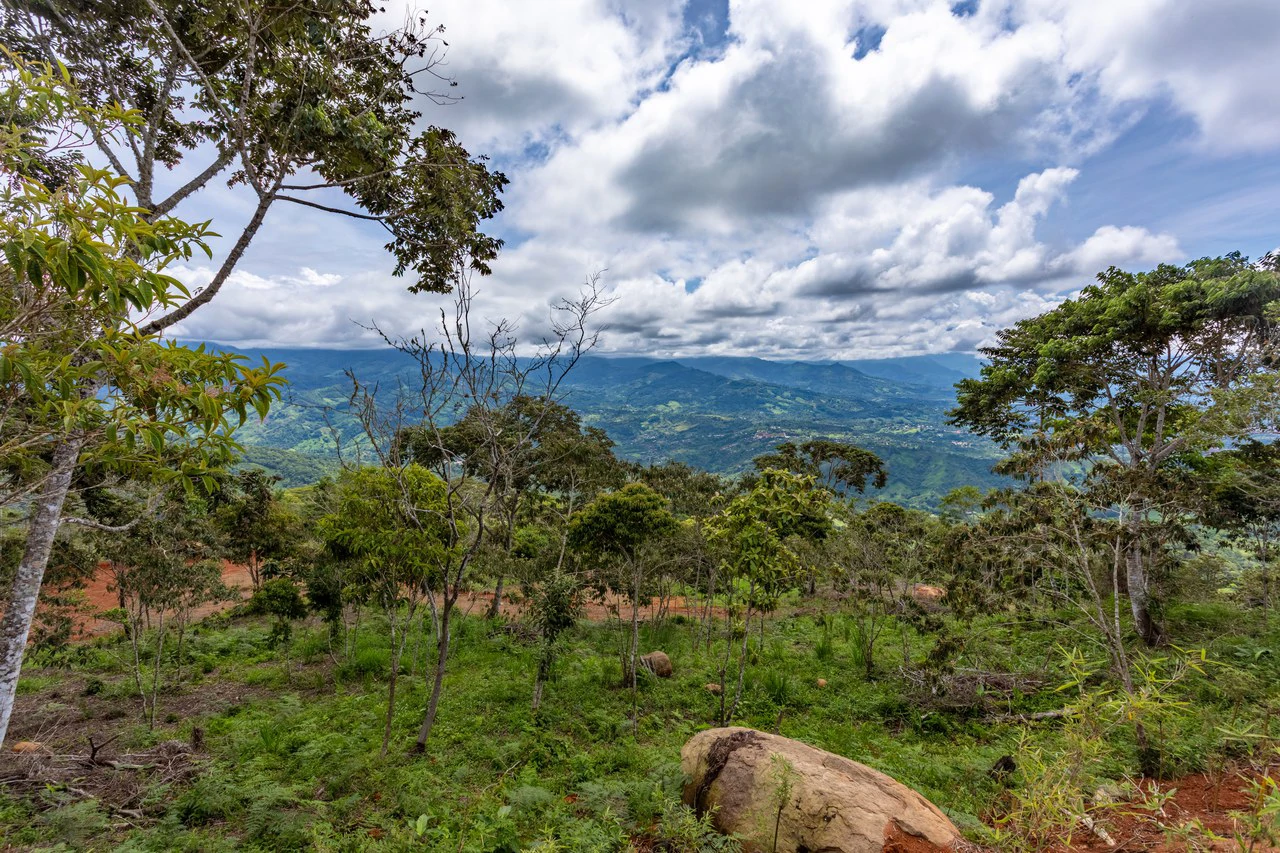Spectacular Property with Chirripo Mountain and San Isidro City Views - Gallery image 6