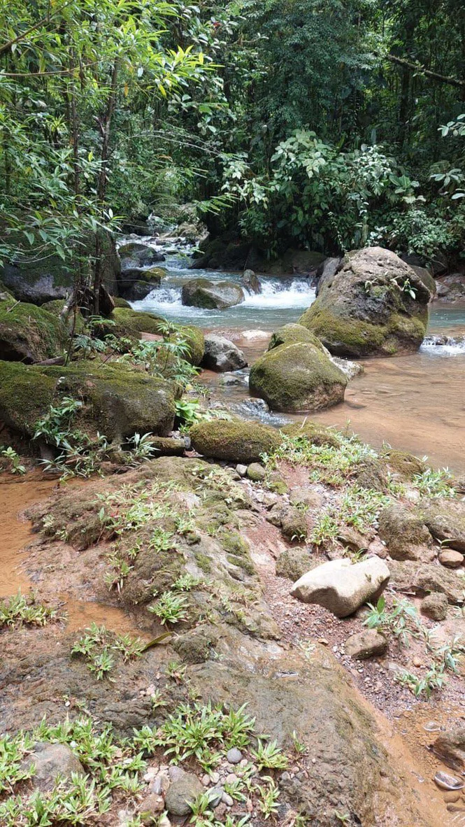 SECLUDED PARADISE WITH STUNNING VIEWS, WATERFALLS & ABUNDANT WILDLIFE - Gallery image 3