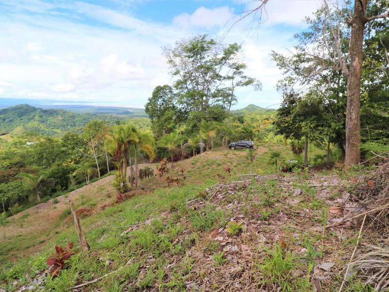 Captivating 3.15-Acre Property: Huge Pricedrop! Firesale Oceanview Lot in Tres Rios - Gallery image 27