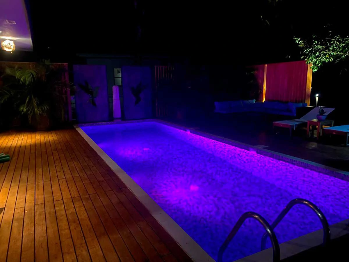 ID 4171: Modern Tropical: Luxury Retreat with Saltwater Pool in Bellevue - Gallery image 70