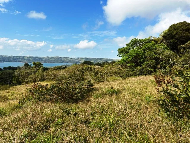 4.5 ha building land with fantastic lake view - Gallery image 3