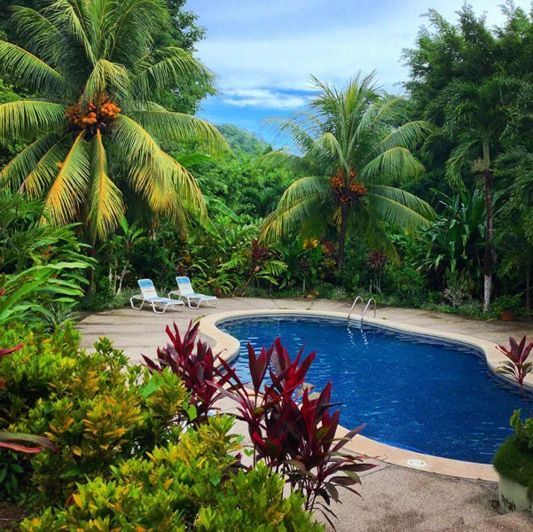 Gem 62.5 Acre Resort-Ready Estate: Oceanview Hospitality Gem 62.5 Acre Resort-Ready Estate with Operating Hotel - Gallery image 8
