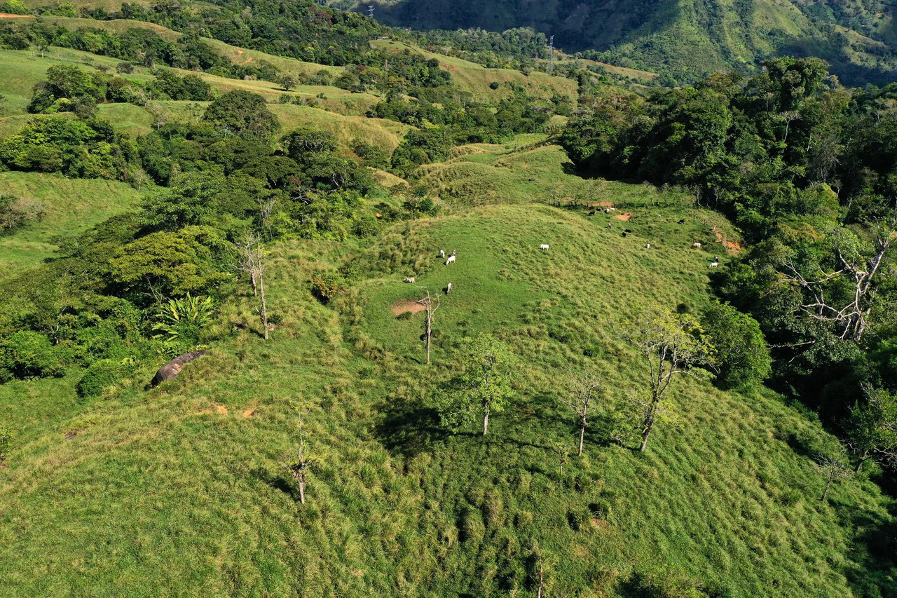 150 Acre Cattle Ranch with Panoramic Views Above the mountains of Uvita - Gallery image 25