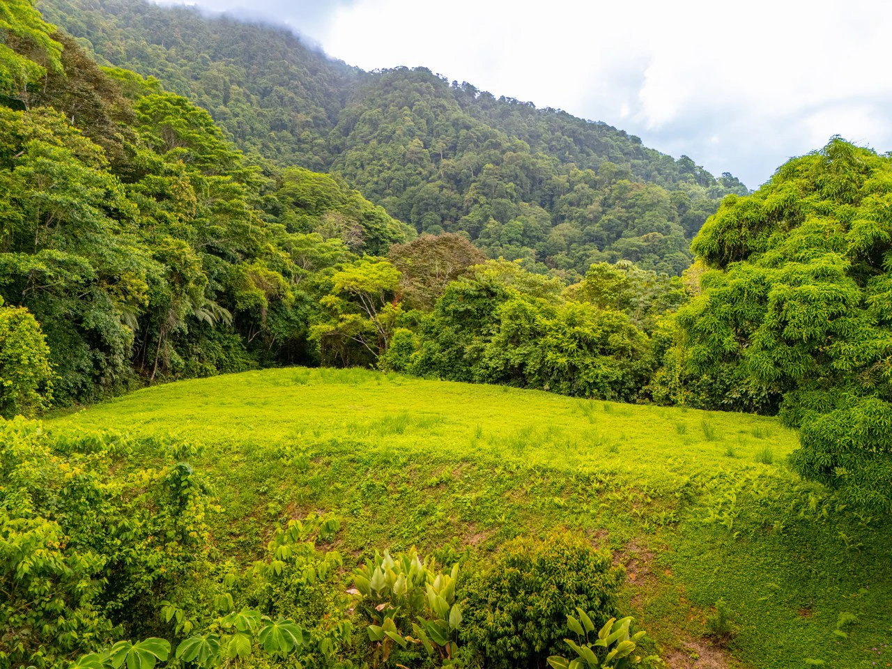 Tropical Paradise in Cascada Sándalo, Tres Ríos Ocean & Mountain Views | Gated Community | Abundant Nature - Gallery image 3