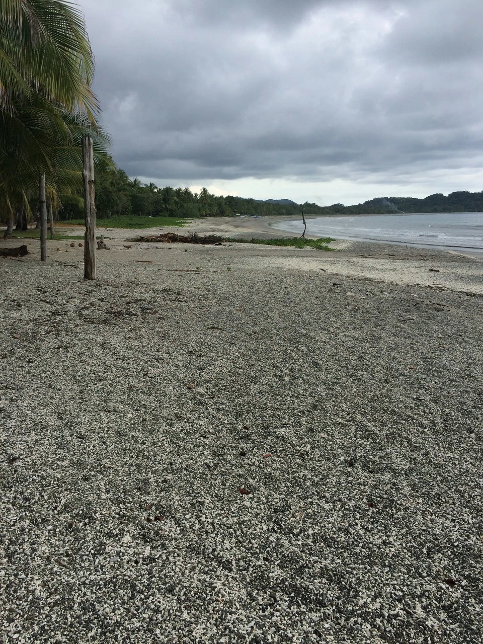 Beachfront Hotel for Sale in Playa Sámara - Gallery image 15