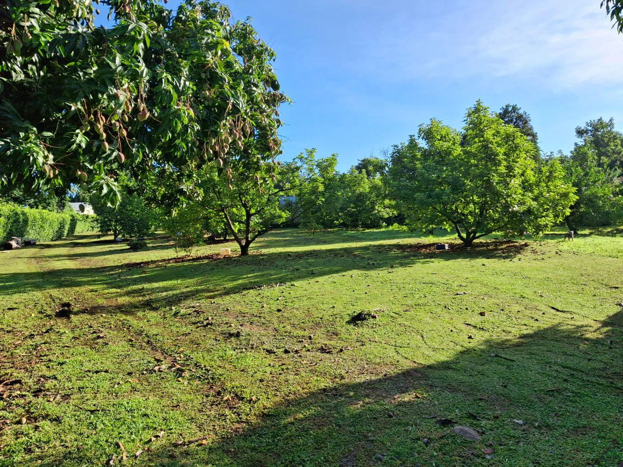 Profitable Finca...Multi USE property with Muni Approval - Gallery image 6