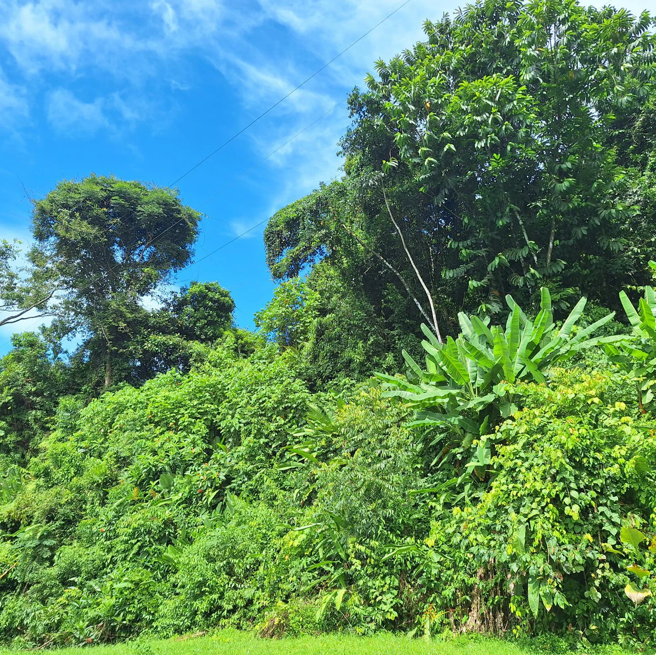 Exceptional Ocean & Mountain View Property in Pinuela Arriba, Costa Rica - Gallery image 18